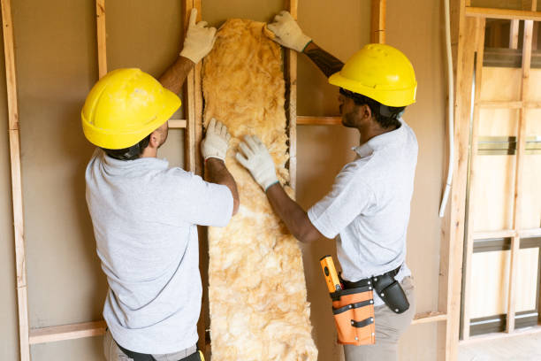 Types of Insulation We Offer in Antioch, CA