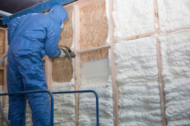 Best Batt and Roll Insulation  in Antioch, CA